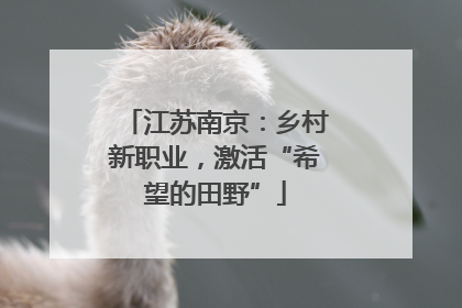 江苏南京：乡村新职业，激活“希望的田野”
